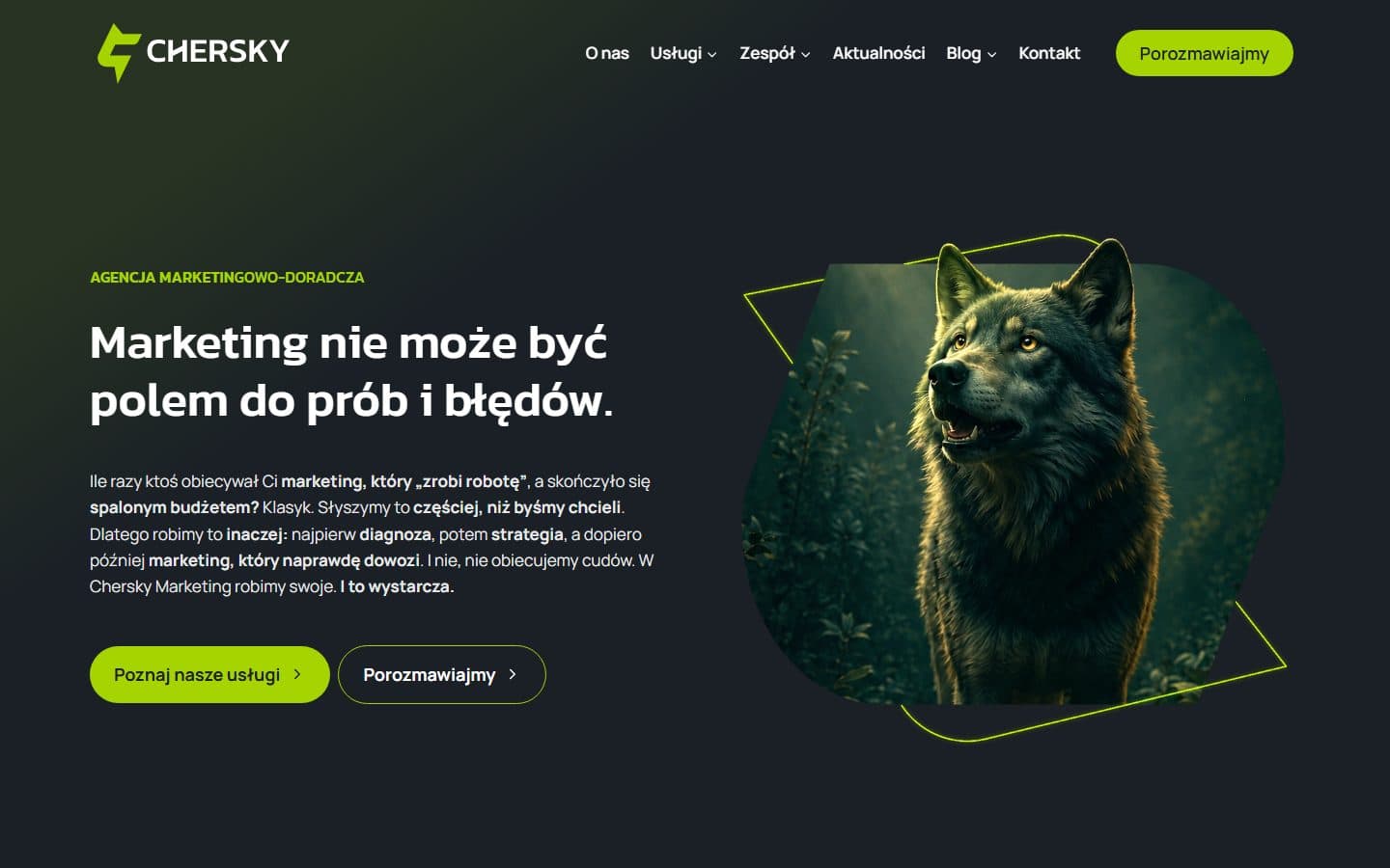 Zrzut ekranu strony Chersky Marketing